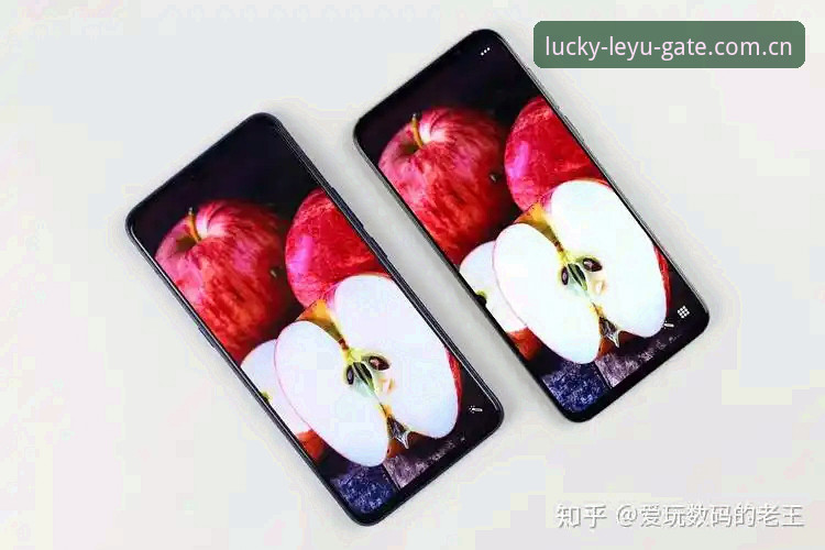 官方方位坐标竞品对比推荐手机版：老王的真实体验 vs 同行差距